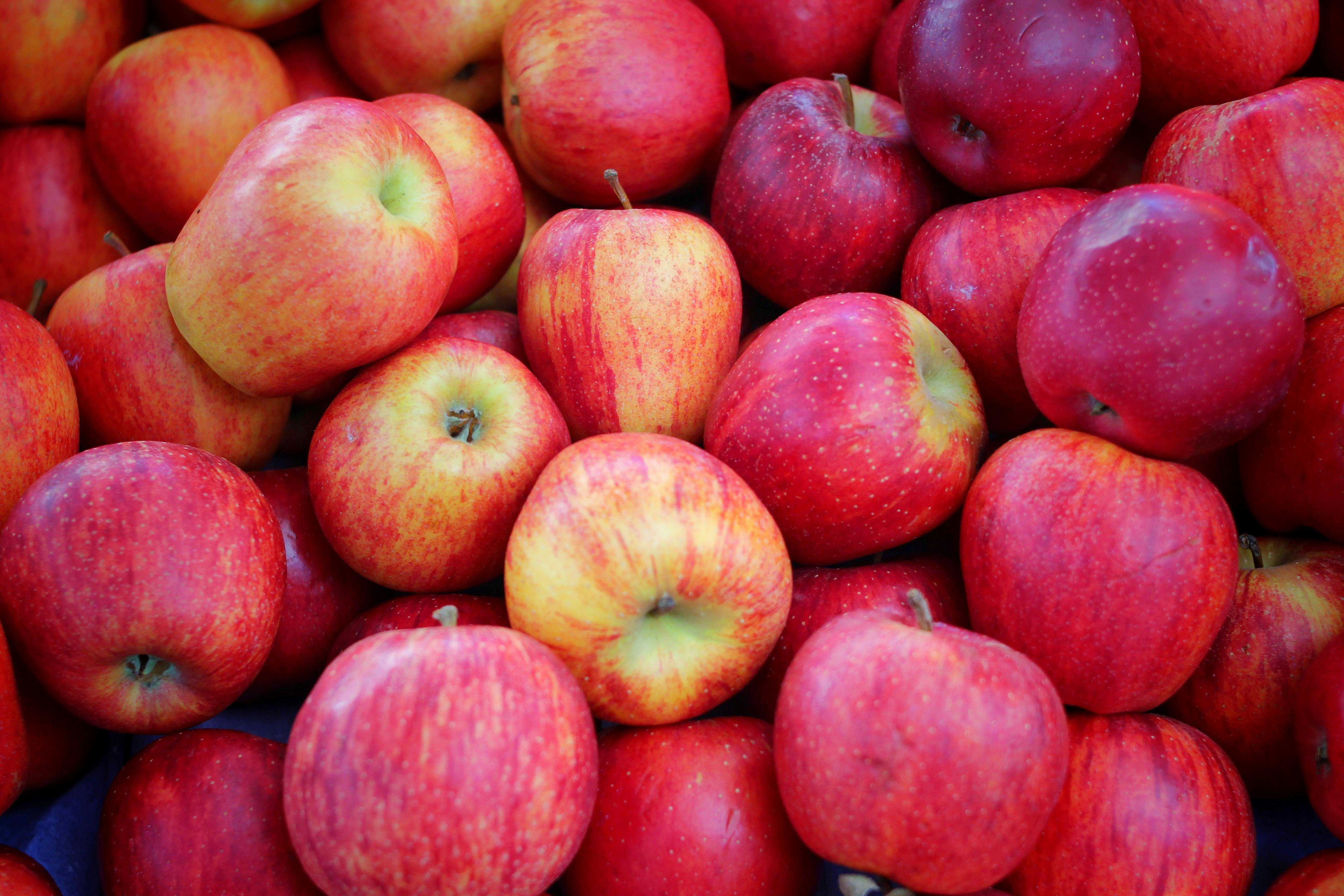 What happens if you eat an apple every day? A dietitian explains — WESH 2 Orlando, Oviedo Health news