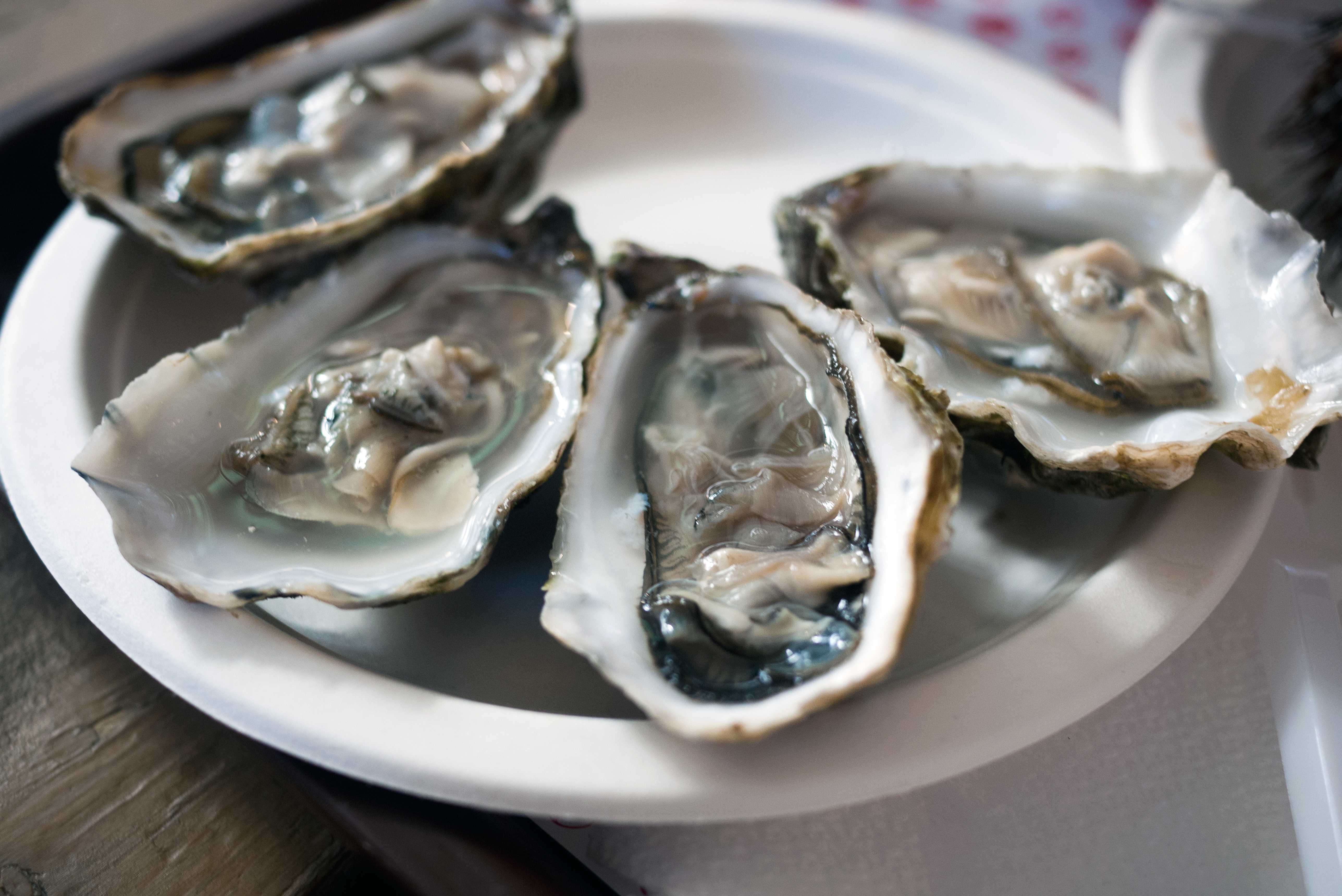 27 People Are Sick & 5 Hospitalized In A Multistate Raw Oyster Recall — WESH 2 Orlando, Oviedo Dining news