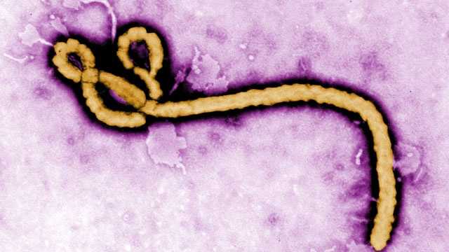Nigeria confirms first Ebola case in traveler from Uganda — WESH 2 Orlando