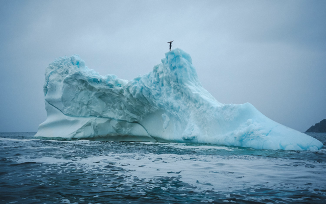 Cliff diver Molly Carson makes history, becomes first woman to dive off iceberg — WESH 2 Orlando, Oviedo Community news