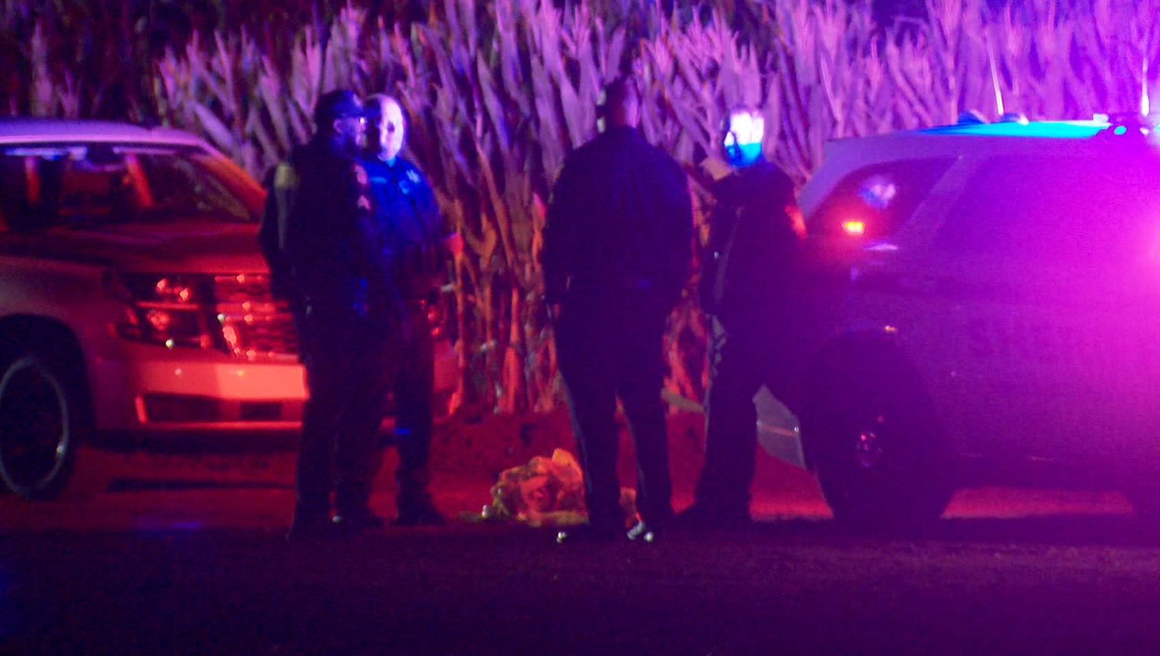 2 stabbed during altercation inside popular California corn maze  — WESH 2 Orlando