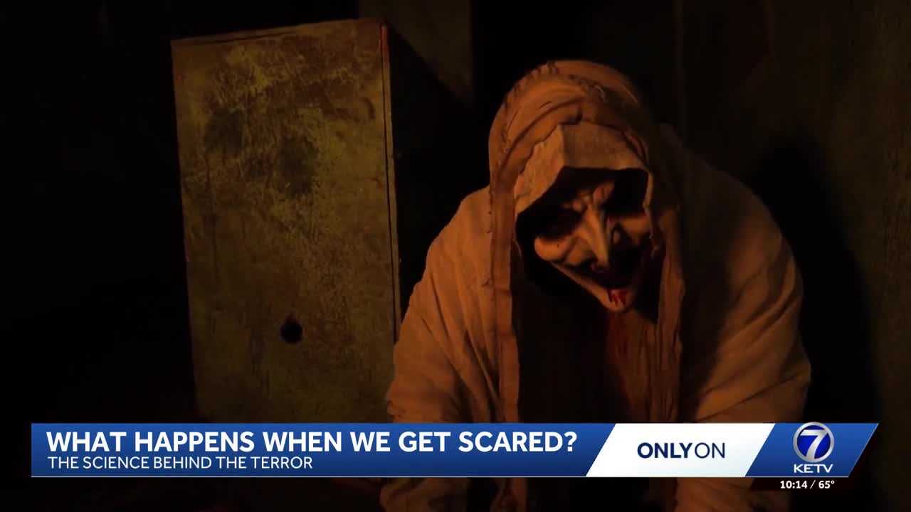 The science of being scared: What happens to your brain, body when fear strikes? β WESH 2 Orlando, Oviedo Community news