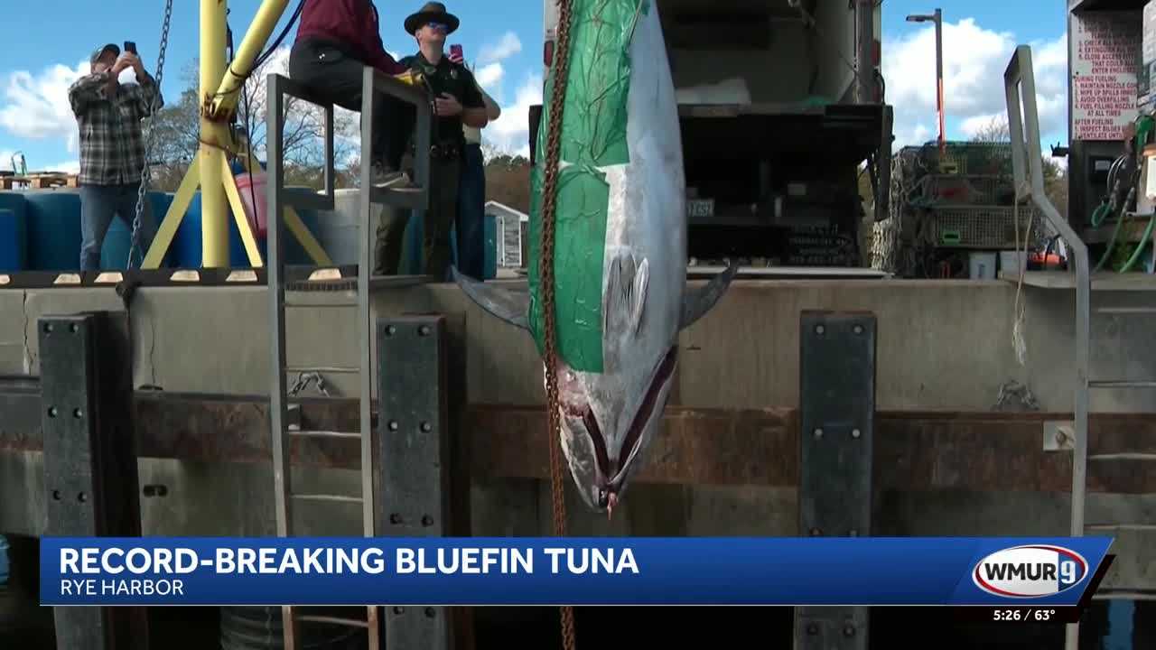'Something that you dream of': 1,116-pound bluefin tuna catch sets a record — WESH 2 Orlando, Oviedo Community news