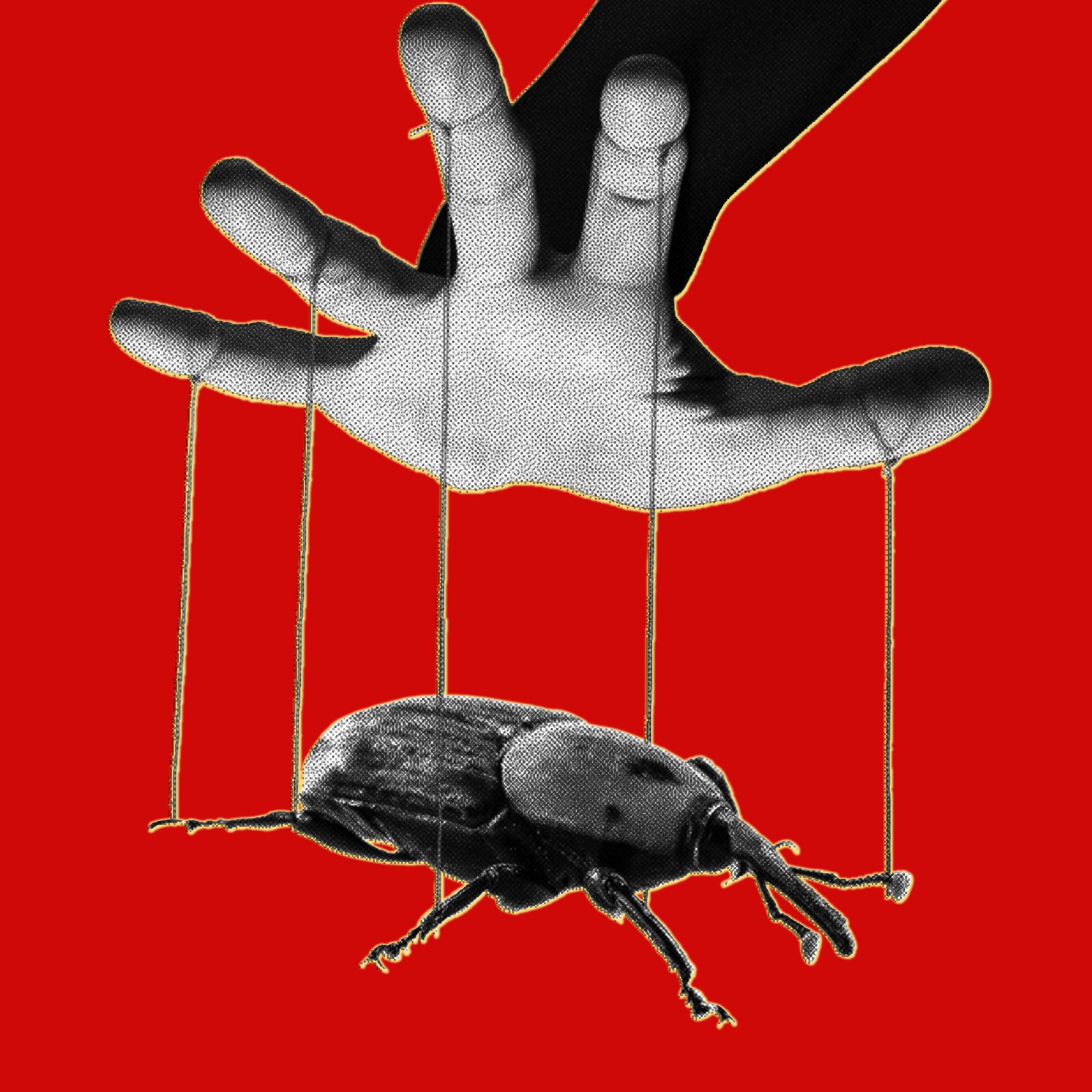 The PHP Meltdown Shows How AI Makes Bugs More Exploitable — Wired, Oviedo Technology news
